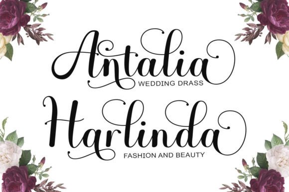 Aliciya Font - Preview 3