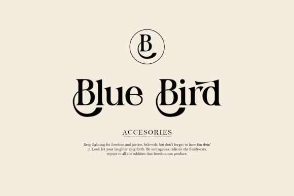 Blingh Font - Preview 1