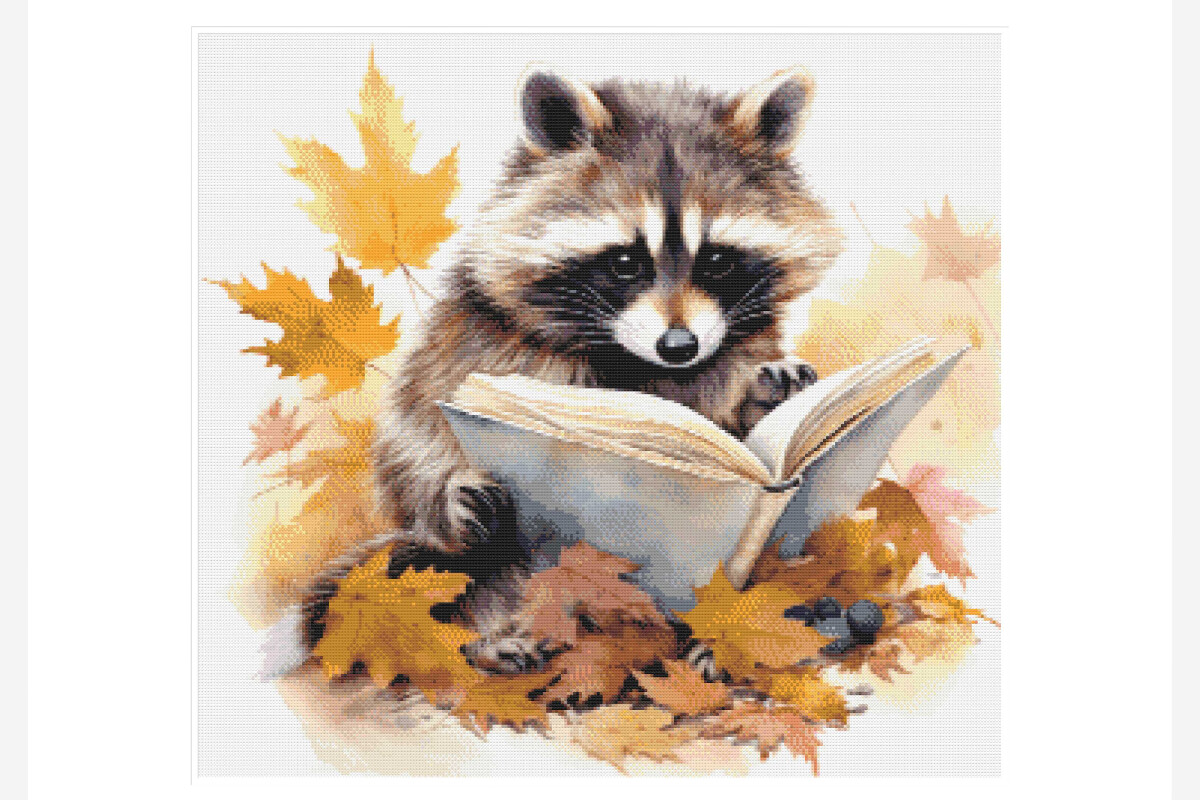 Raccoon Reading