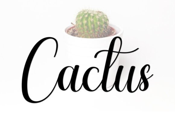 Amellia Font - Preview 1