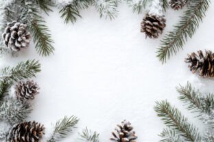 Snowy Pine Branches and Cones Form Graphic by Sun Sublimation ...