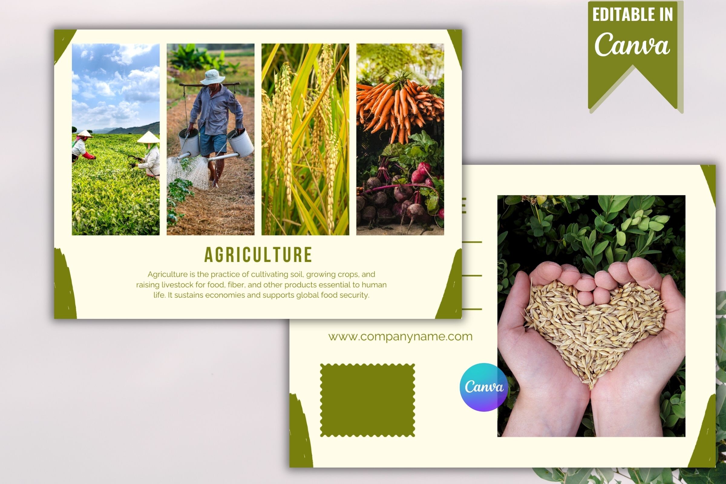 Agriculture Postcard Template