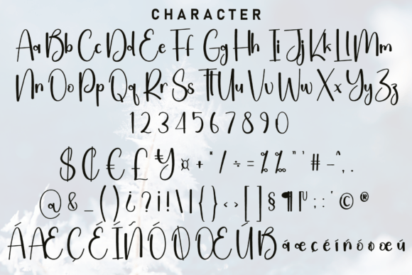Bigwinter Font - Preview 4
