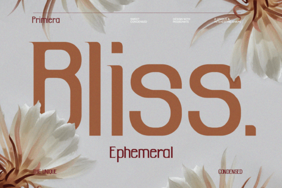 Primiera Font PNG with transparent background - Preview 2