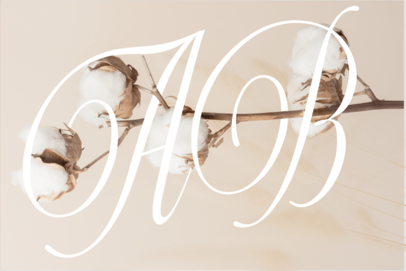 Actalle Font - Preview 5