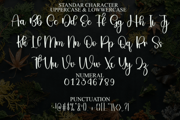 Barbie Charming Font - Preview 2