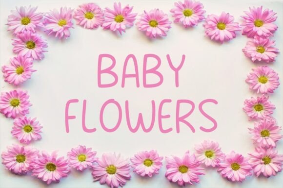 Clara Beauty Font - Preview 2