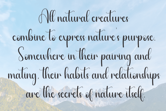 Happysnowing Font - Preview 5