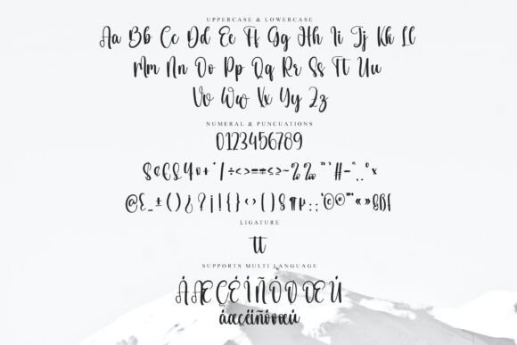 Calligraphy Font - Preview 5