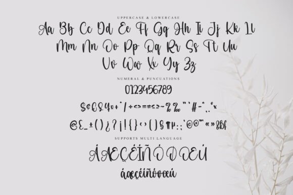 Education Font - Preview 5