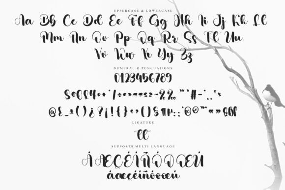 Garlic Font - Preview 5