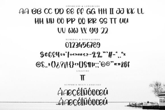 Miracle January Font PNG with transparent background - Preview 5
