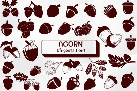 Acorn