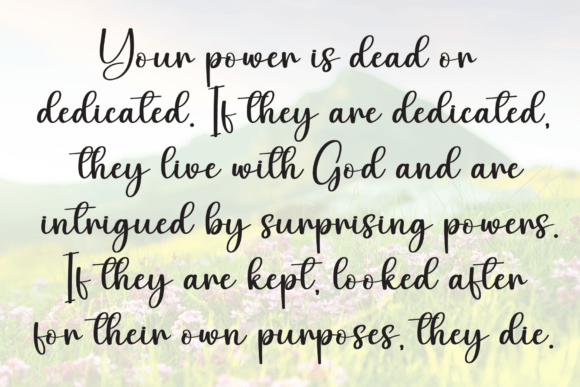 Beauty Butterfly Font - Preview 5