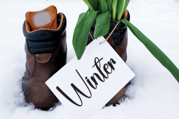 Book Christmas Font - Preview 4