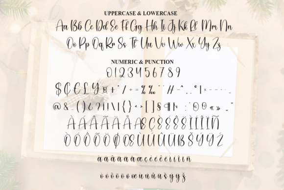 Book Christmas Font - Preview 6
