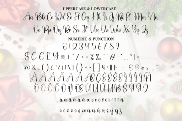 Book Christmas Font - Preview 6