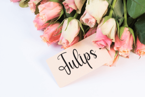 Bridesnow Font - Preview 4