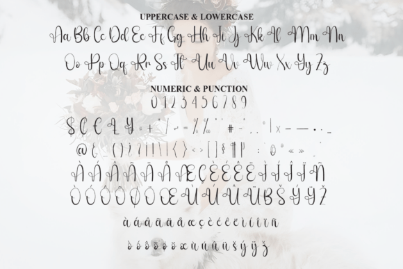 Bridesnow Font - Preview 6