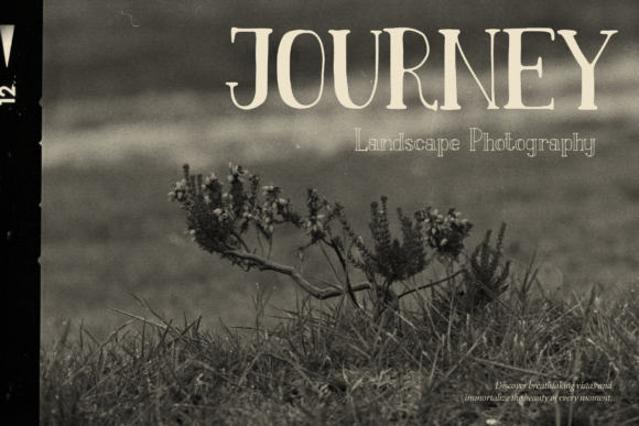 Fiore Dilona Font - Preview 5