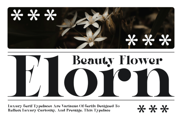 Qeira Font PNG with transparent background - Preview 1