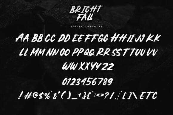 Brightfall Font - Preview 5