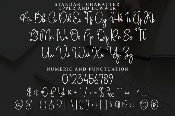 Capital Font - Preview 4