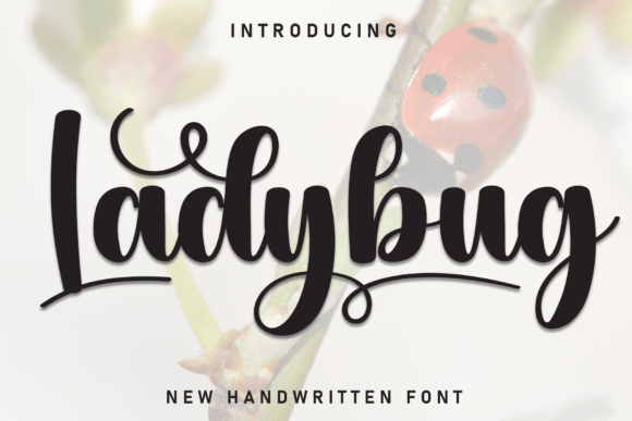 Ladybug