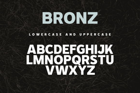 Bronz Font - Preview 6