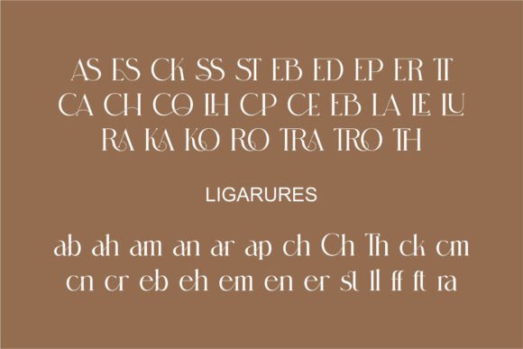 Chagira Font - Preview 6