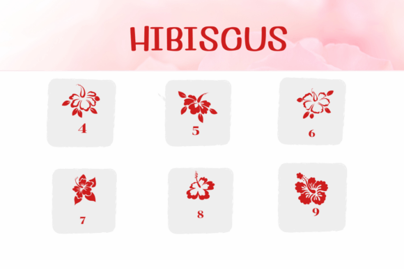Hibiscus Font - Preview 3