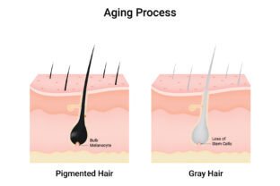 Aging Process Science Design Vector Graphic by hamjaiu · Creative Fabrica