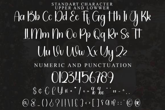 Rainer December Font font preview - 4