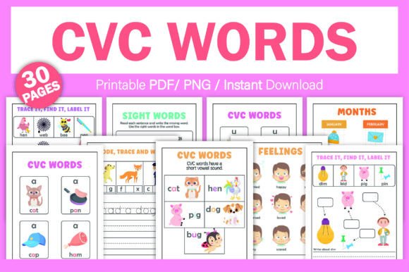 Reading CVC Words Paper