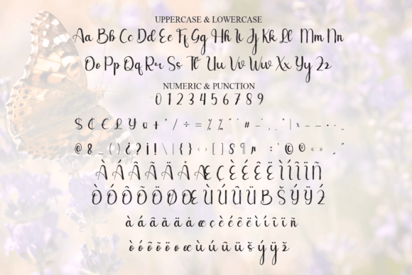 Butterfly Font - Preview 6