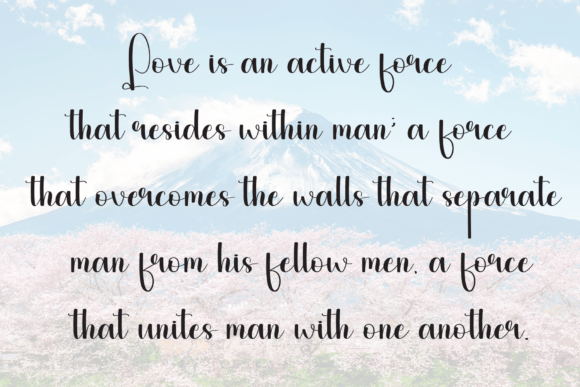 Designer Font - Preview 5