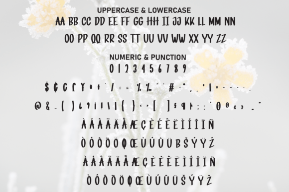 Floral December Font PNG with transparent background - Preview 6