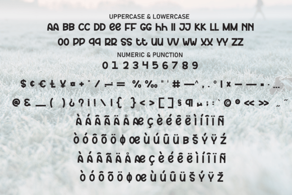 Frosty Morning Font font preview - 6