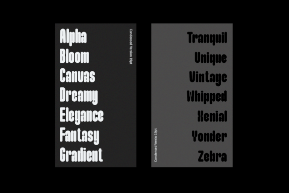 Maximalis Font font preview - 5