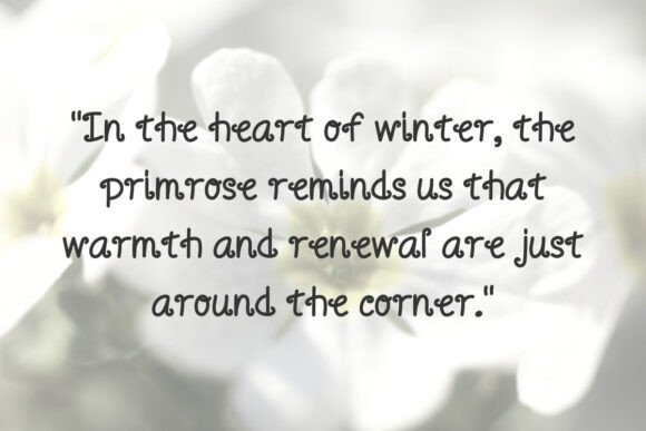 Primrose Font PNG with transparent background - Preview 1