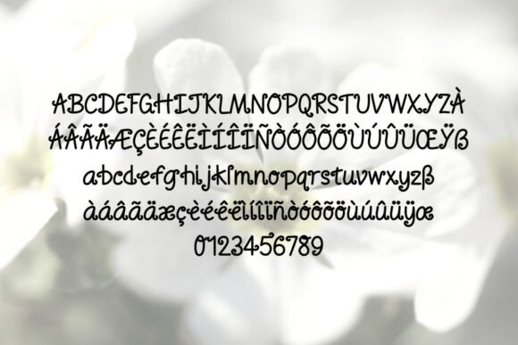 Primrose Font PNG with transparent background - Preview 3