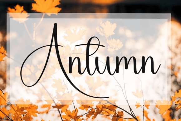 Birthday Angeline Font - Preview 3