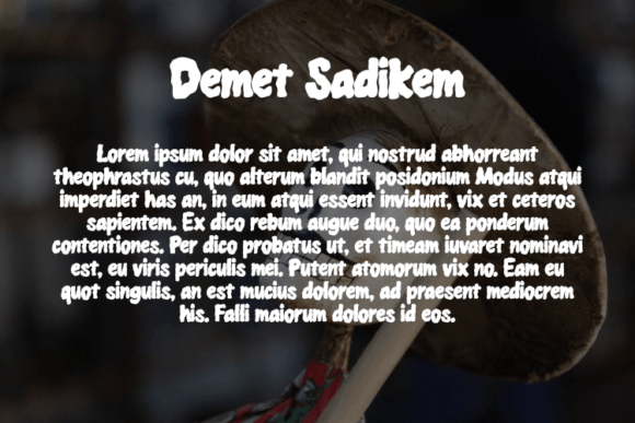 Demet Sadikem Font - Preview 2