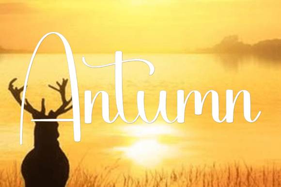 Healing Font - Preview 2