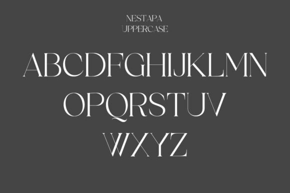Nestapa Font PNG with transparent background - Preview 1