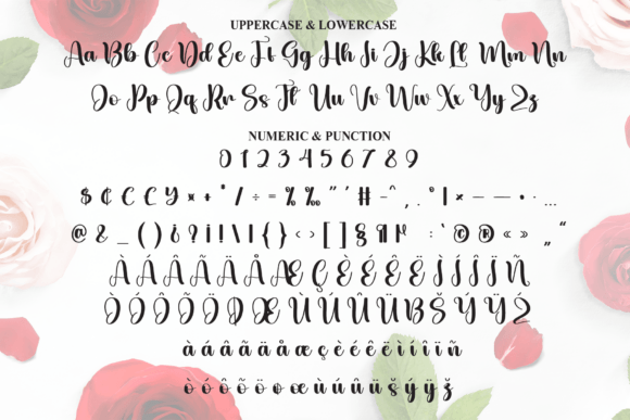 Roseday Font PNG with transparent background - Preview 6