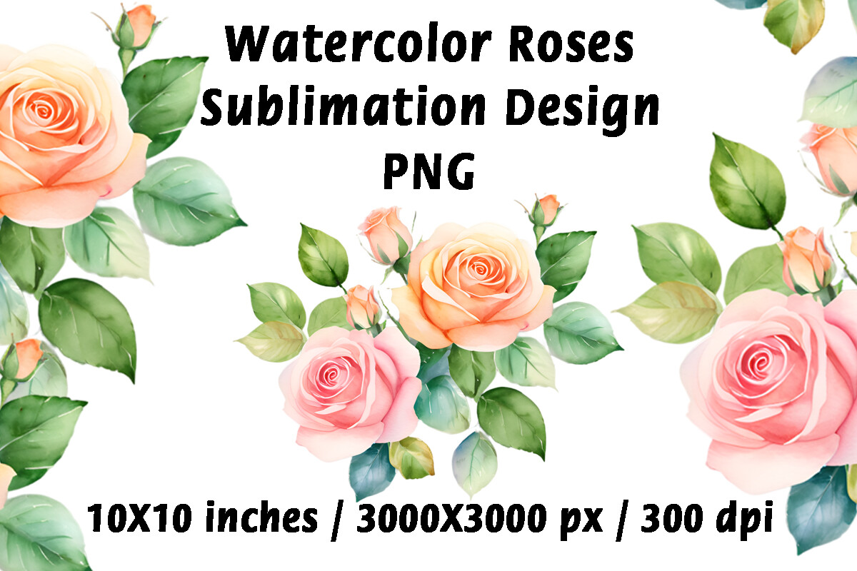 Watercolor Roses Sublimation Png Graphic by MargoArt · Creative Fabrica