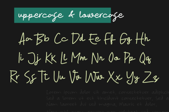 Amellitta Font - Preview 3