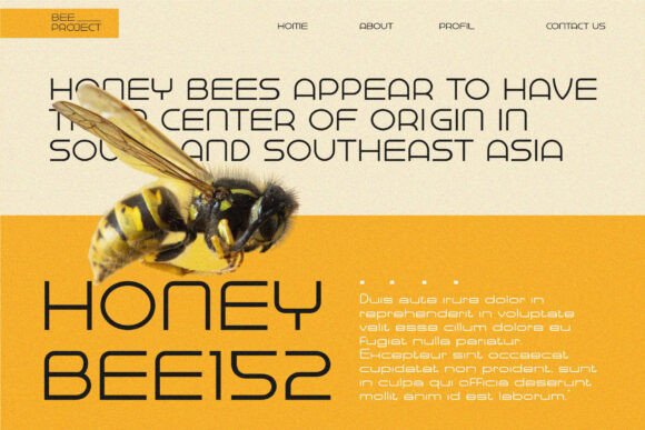 Baqeut Enosan Font PNG with transparent background - Preview 2