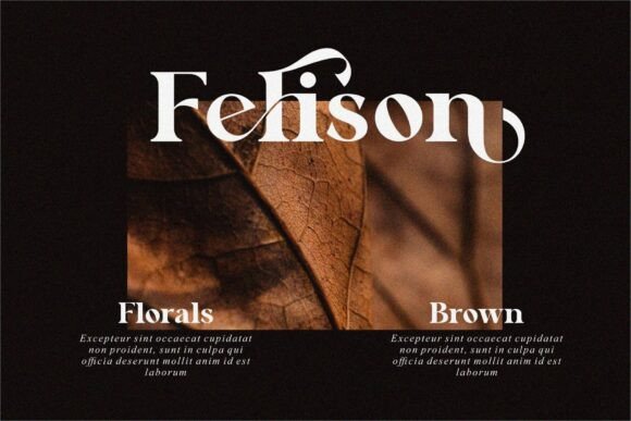 Brave Paridos Font - Preview 3